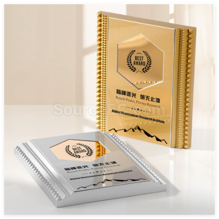 Customization Metal Medals Corporate Gifts
