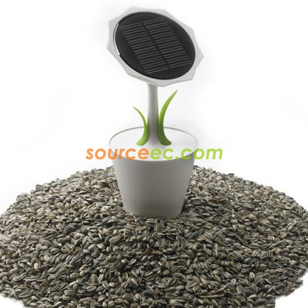 Customization Solar Charger Flowers Corporate Gifts