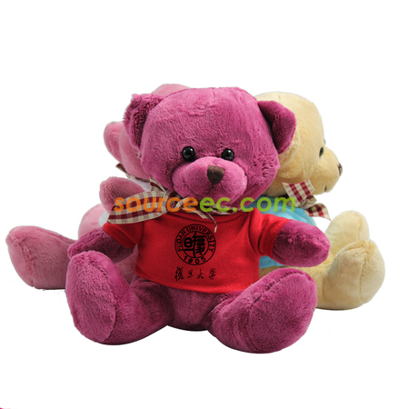 Graduation Bear