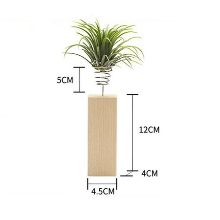 Customization Plant Decoration Corporate Gifts