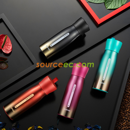 Customization Aurora Thermos Cup Corporate Gifts