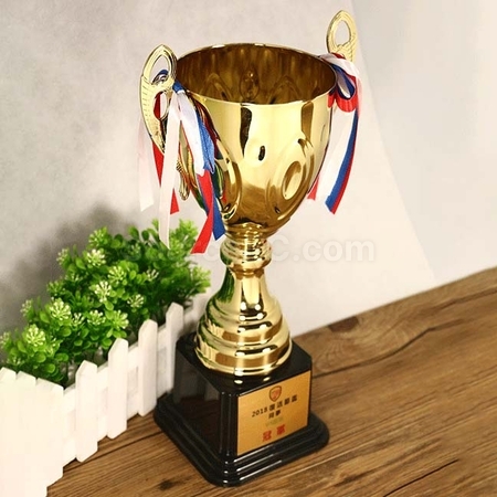 Customization Trophy Cup Corporate Gifts