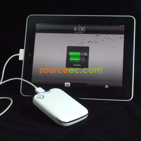 iPhone / iPad Charger 