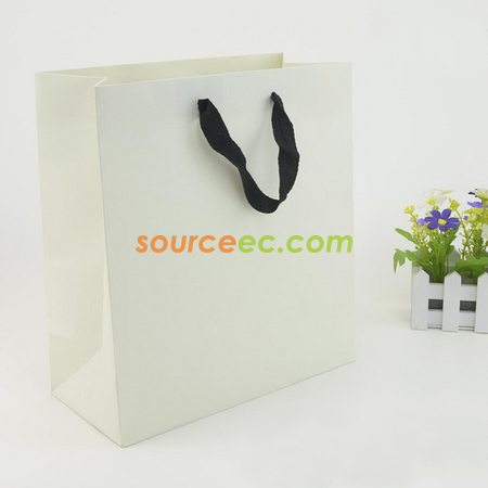 Customization Gift Bag Corporate Gifts