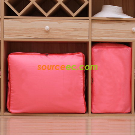 Oversized Pouch