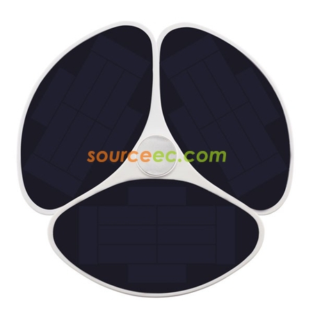 Customization Ginkgo Ginkgo Tree Solar Corporate Gifts