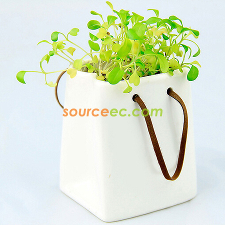 Customization Environmental Planted Gift Corporate Gifts