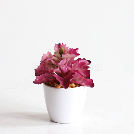 Customization Simulation green plants Corporate Gifts