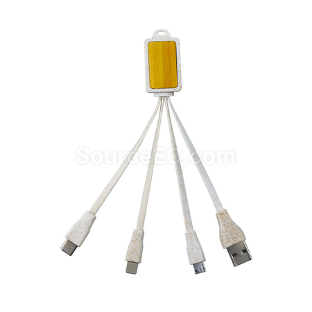 Customization Multifunctional Three-In-One Charging Cable Corporate Gifts