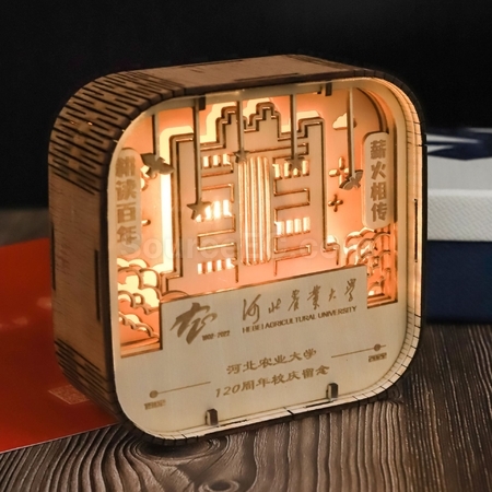Customization Wood Carving Lamp Corporate Gifts