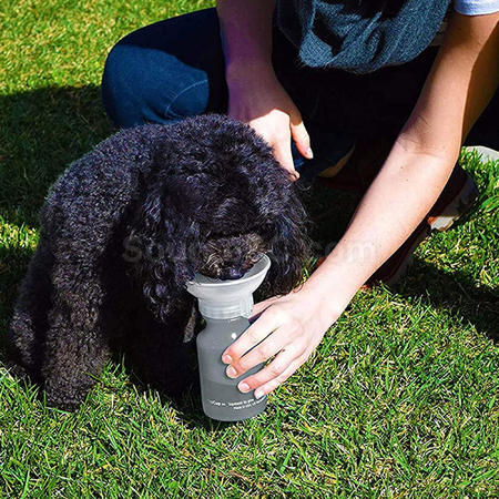 Customization AutoPupCup Corporate Gifts