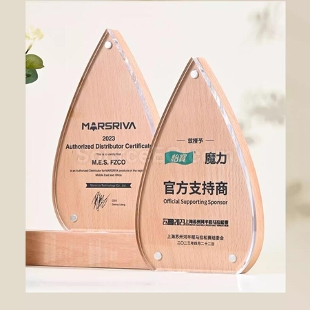 Customization Creative Water Drop Solid Wood Acrylic  rophy Corporate Gifts