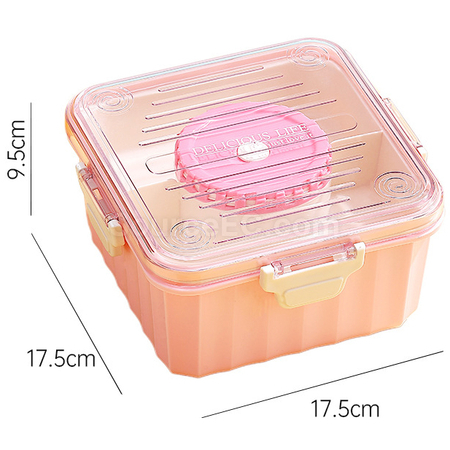 Customization Transparent Salad Lunch Box Corporate Gifts