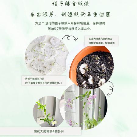 Customization Seed Paper Badge Corporate Gifts