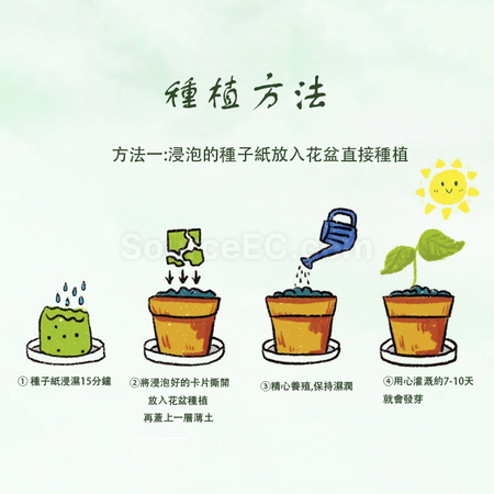 Customization Seed Paper Cup Cover Corporate Gifts