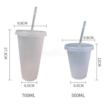 Customization PP Thick Straw Cup Corporate Gifts