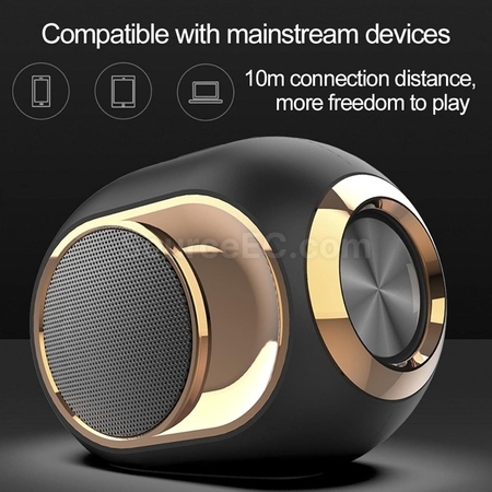 TWS Bluetooth Speaker