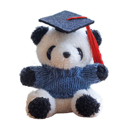 Graduation Bear Keychain