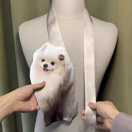 Customization Irregular tie Corporate Gifts