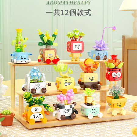 Customization Emoji Succulent Plant Building Blocks Box Corporate Gifts