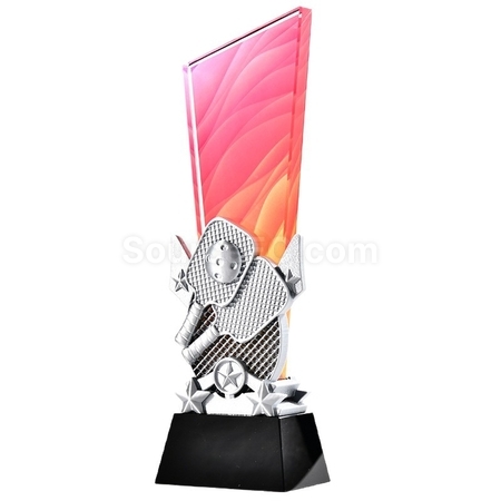 Customization Pickleball Themed Color Printed Crystal Trophy Corporate Gifts
