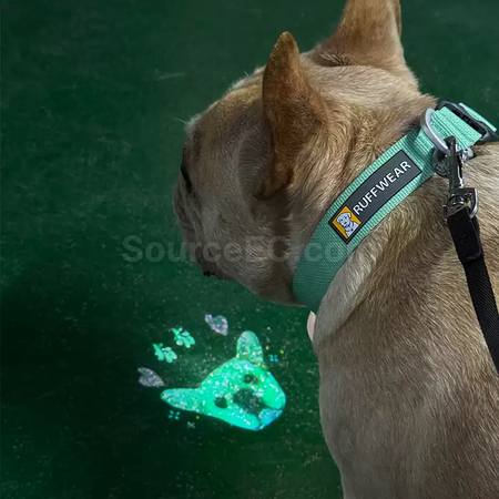 Customization Customizable Mini Projector Lights Corporate Gifts