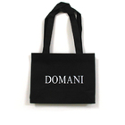 Non-Woven Bag