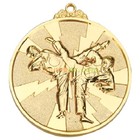 Taekwondo Medal