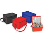 Cooler&Warmer Bag