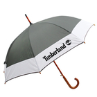 Auto Umbrella