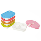 Flower Lunch Box