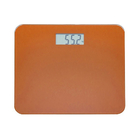 Digital Body Scale