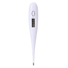 Electronic Thermometer
