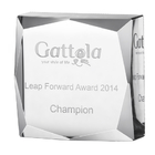 Multilateral Crystal Trophy