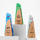 Environmental Protection Award