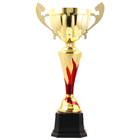 Trophy Cup