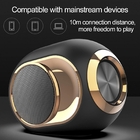 TWS Bluetooth Speaker