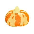 Pumpkin Cushion