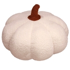 Pumpkin Cushion
