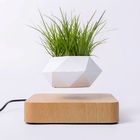 Magnetic Levitation Bonsai (Without Plants)