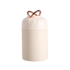 500ML Stainless Steel Vacuum Insulated Food Jar