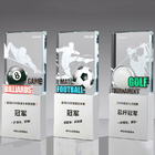 CustomizationCrystal TrophyCorporate Gifts