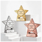 CustomizationResin Star Award TrophyCorporate Gifts